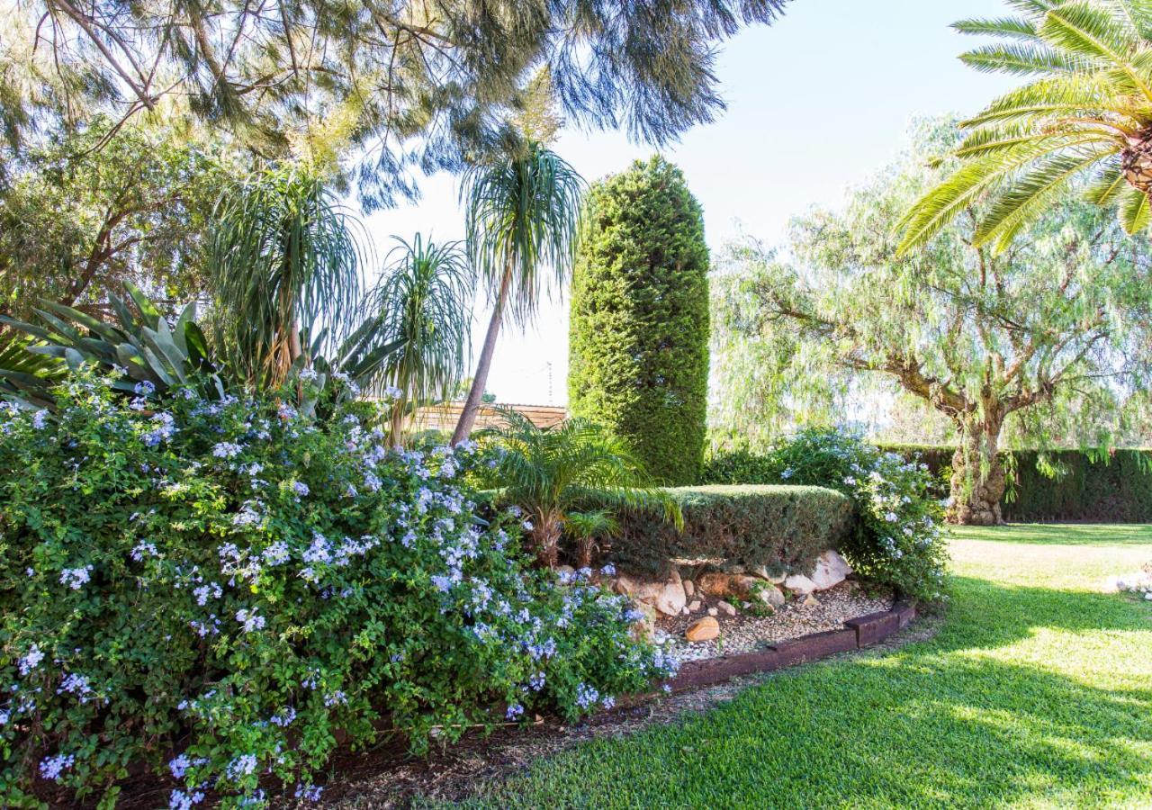 Villa Casa Segaria Dénia Exterior foto